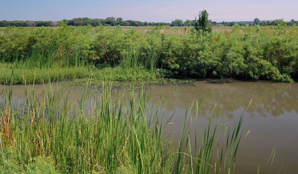 Midwestern conservation biological science land resources dedicated to protecting wetlands, open water, and riparian habitats within Lawrence Kansas
