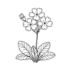Fototapeta premium PNG Delicate hand-drawn floral illustration.