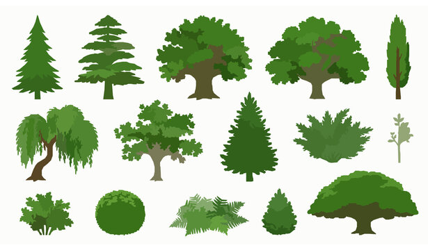 Diverse Cartoon Forest Trees and Botanical Plants Flat Vector Collection