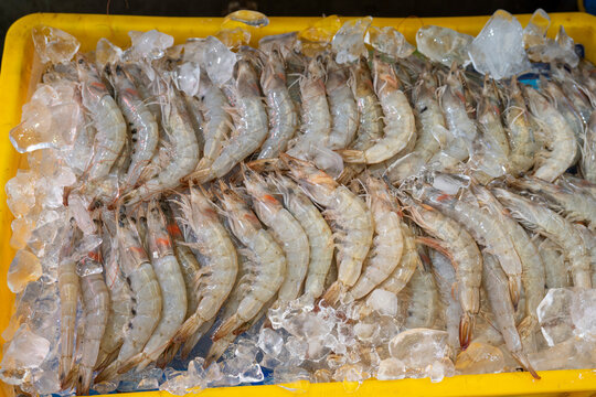 Fresh raw shrimp neatly arranged on crushed ice in yellow box at traditional local seafood market in South Korea.