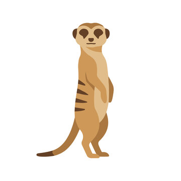 Standing meerkat sticker vector illustration in flat design style