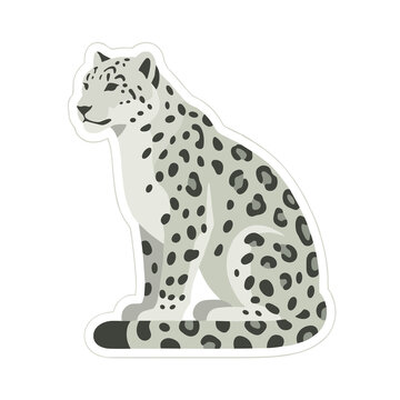Sitting Snow Leopard Illustration Sticker on White Background