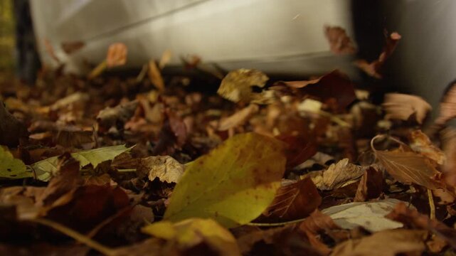 LOW ANGLE, DOF, SLOW MOTION: White car passing through a remote forest track, leaving dry autumn leaves swirling high into the air. Car ride through the woods colored in warm shades of fall season.