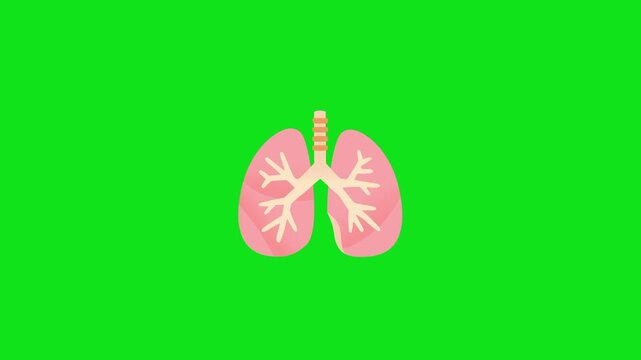 How Your Lungs Work Every Day