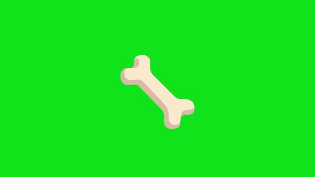 Human Bone Anatomy Explained in 2D