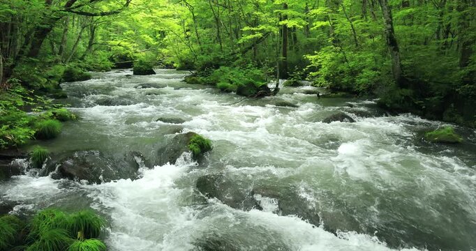奥入瀬渓流の三乱の流れ