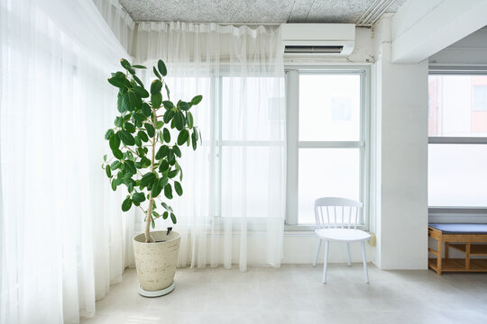Bright Room with Chair and Green Plant Interior
