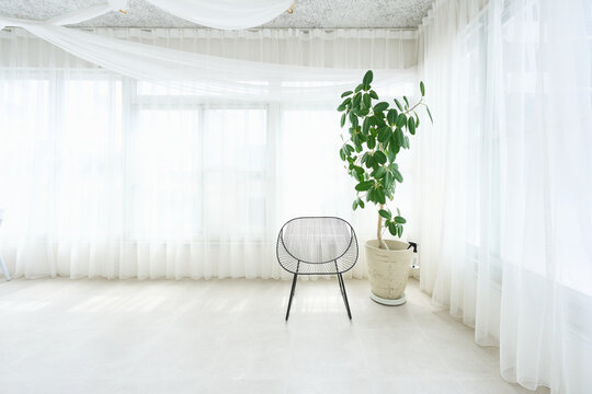 Bright Room with Chair and Green Plant Interior
