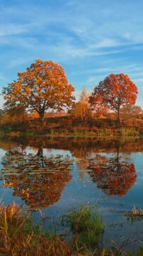 Vertical time lapse of autumn trees reflected in a calm lake at sunset
