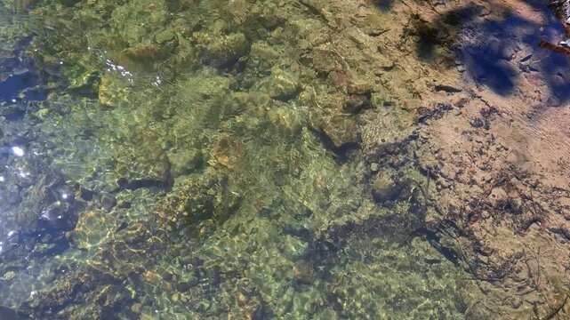 Video of clear mountain stream. Water running over stones on bottom. Natural background. Top down view.