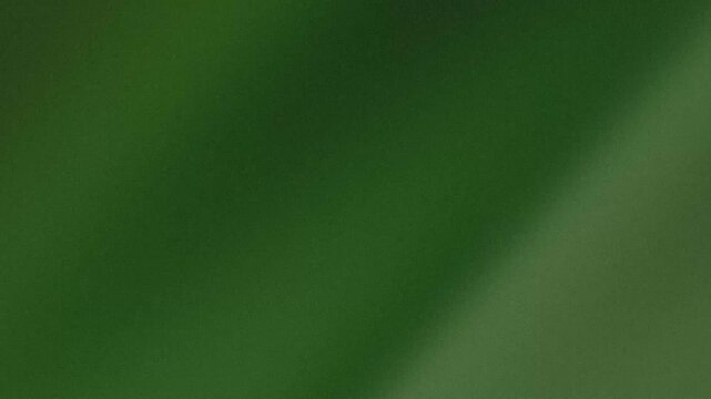 Green grainy texture background with soft gradient and noise effect