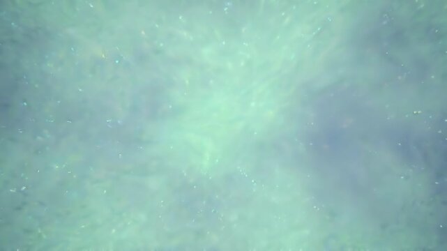 Cool Mint Green and Soft Slate Airbrush Palette with Softbox Lighting for Fresh Clean Minimalist Concepts