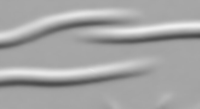 Soft abstract white organic shapes flowing on a neutral grey background