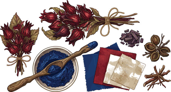Natural Fabric Dyeing Ingredients Vector Set with Hibiscus Roselle Bouquets, Indigo Powder Bowl, Madder Root, Wood Bark Chips, and Dyed Textile Fabric Swatches