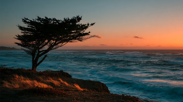 Silhouette of a windswept tree on a cliff overlooking the ocean &mdash; teal blue ocean waves vertical