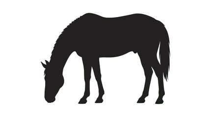 Obraz premium Isolated black silhouette of a grazing horse with head down for ranch signage, equestrian branding