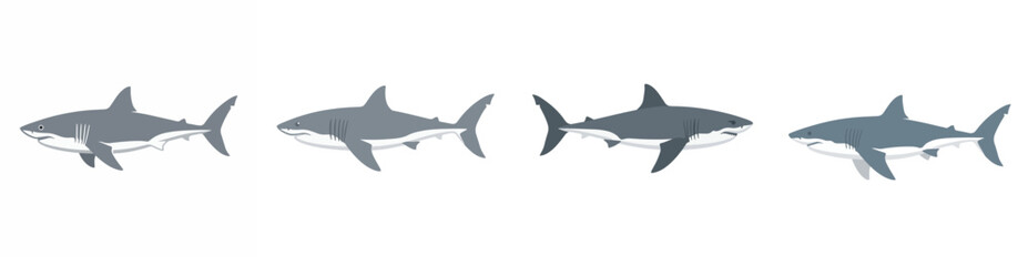 Fototapeta premium Set of four great white sharks swimming isolated on white