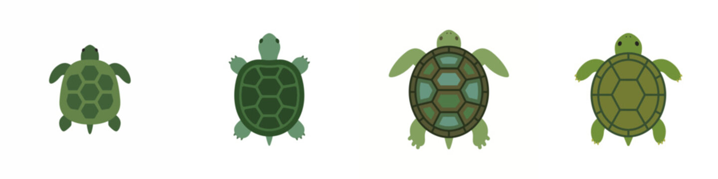 Set of four green turtles in flat vector style overhead view