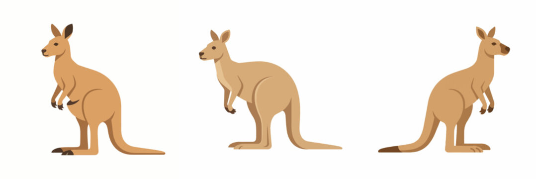 Set of three kangaroo characters isolated on white background vector illustration