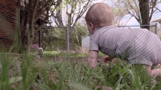 Young boy crawling through grass in yard 4k
