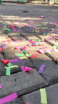 Various scraps of paper in different shades found on the ground in a park or garden.Diferentes fragmentos de papel de diversas tonalidades hallados en el suelo de un parque jard&iacute;n.(20)