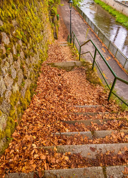 Steps covered in leaves near a river in Karlovy Vary, Czechia