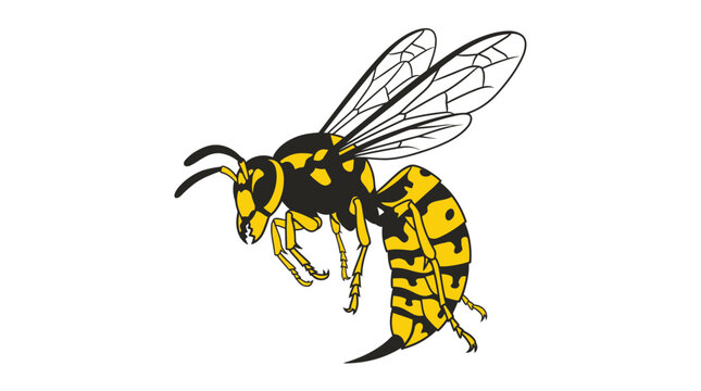 Flying Wasp Vector Illustration