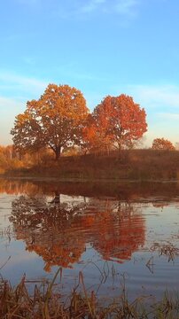 Vertical time lapse autumn lake with colorful trees reflected in calm water