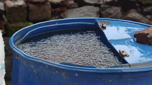 Water Harvesting in Blue Plastic Barrel During Heavy Rainstorm. Medium shot of a large blue plastic drum collecting rainwater outdoors as steady monsoon rain creates continuous ripples on water.