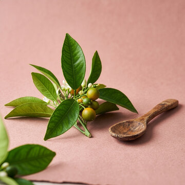 Petitgrain Sprig with Rustic Wooden Spoon