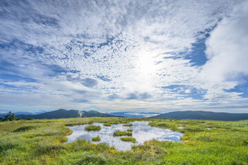Naklejka premium 夏の青空を映す中門岳山頂の池塘と高層湿原の絶景
