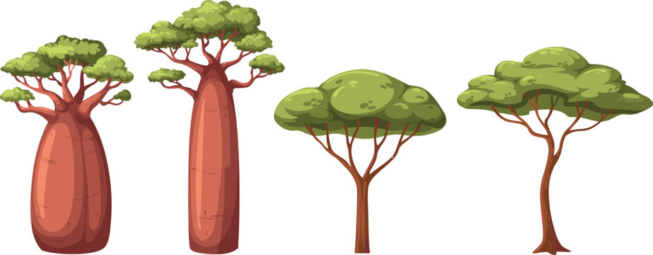 African savanna trees vector illustration set with exotic baobab and acacia plants for safari wilderness landscape nature graphics