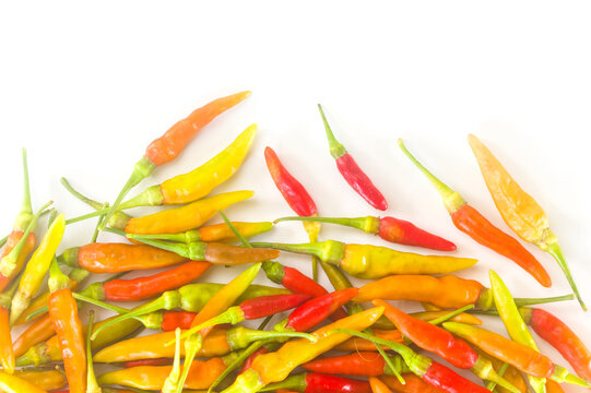 Fresh multicolored chili peppers along the bottom of a white background with copy space above