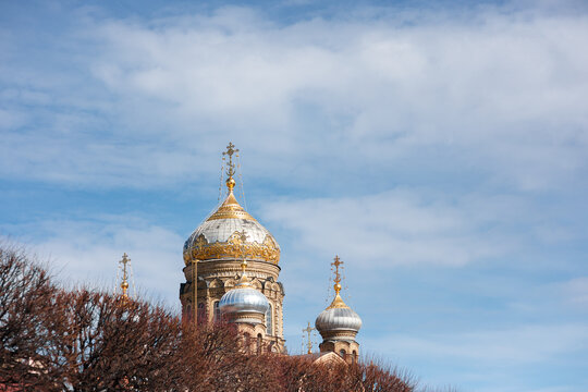 Golden and silver domes of the Assumption Church in Saint Petersburg, topped with crosses, rise above bare tree branches under a cloudy sky