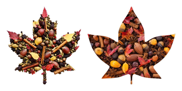 PNG Autumn leaves filled with assorted spices and nuts, transparent background