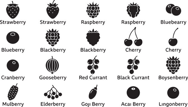 Variety of fresh berry icons and labels for healthy food and drink illustrations.