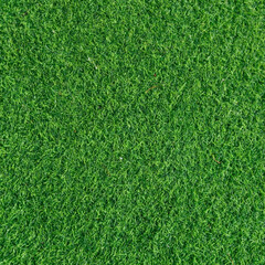 Obraz premium green grass background