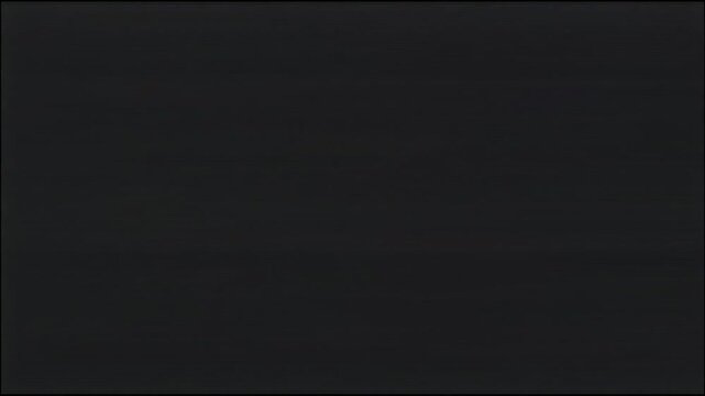 画面が引き裂かれるように歪むVHSノイズ