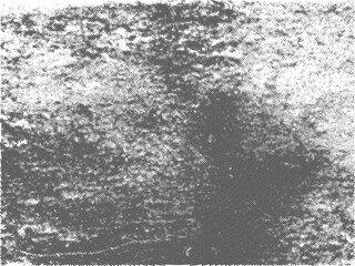 Obraz premium Dark Organic Halftone Texture With Dense Grain Rough Distressed Surface And Abstract Grunge Details