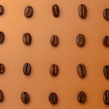 Square crop flat lay of roasted coffee beans arranged in an orthographic grid pattern against a textured background.