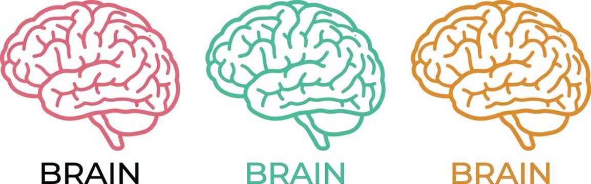 Set of three colorful human brain line art icons isolated on a white background