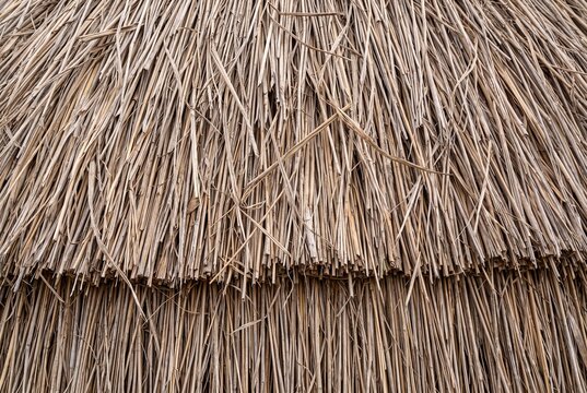 Closeup of a rustic thatched roof made of dried straw or reeds