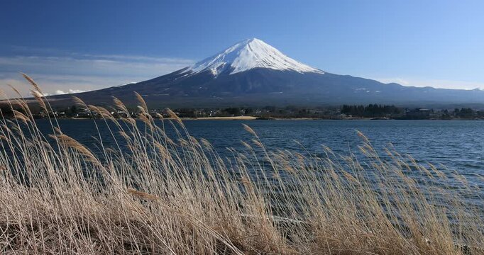 川口湖と富士山