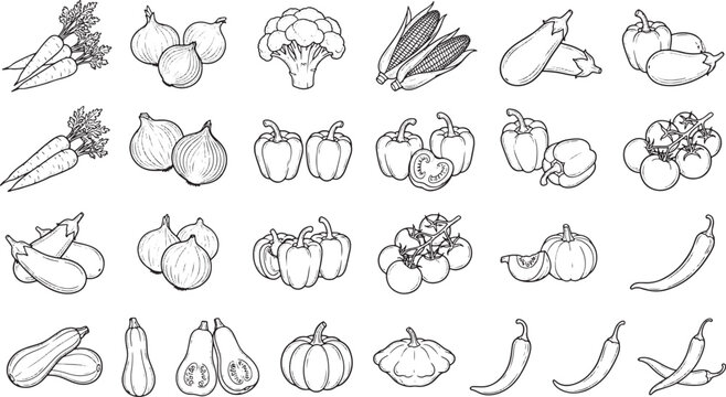 Hand drawn vegetable collection set featuring various organic farm produce in a clean line art style