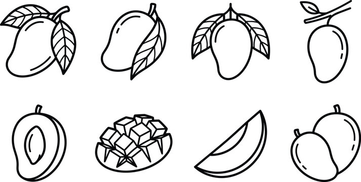 Fresh mango fruit line art vector icon collection with whole pieces sliced cubes half and leaves elements