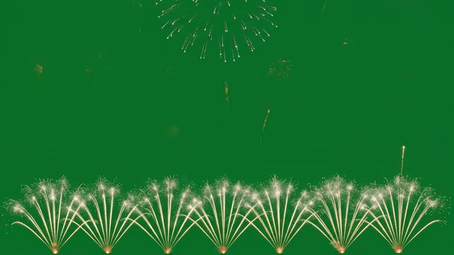 Vibrant Fireworks Display Illuminating the Night Sky with Explosions of Color.