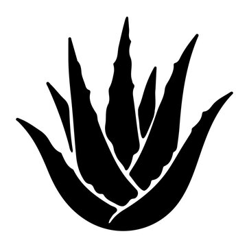 Minimalist aloe vera plant silhouette vector graphic element