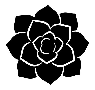 Minimalist succulent plant silhouette vector graphic element