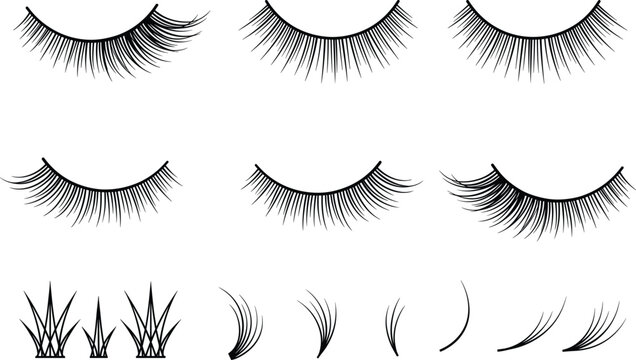 False eyelashes and individual lash extensions set for salon beauty cosmetic makeup graphic vector