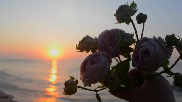 Person holding rose flowers in hand on background on sand of beach of sea shore coast at sunset dawn. Blossoming blooming flowers on sea coast on setting rising sun. Concept romance mood romantic